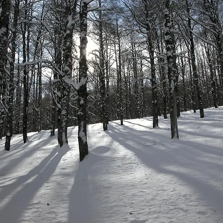 Rapiere La Terra * San Donato Val di Comino